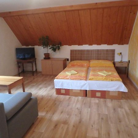 Apartments Vecernik Rokytnice Rokytnice nad Jizerou Buitenkant foto