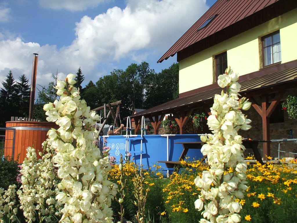 Apartments Vecernik Rokytnice Rokytnice nad Jizerou Buitenkant foto