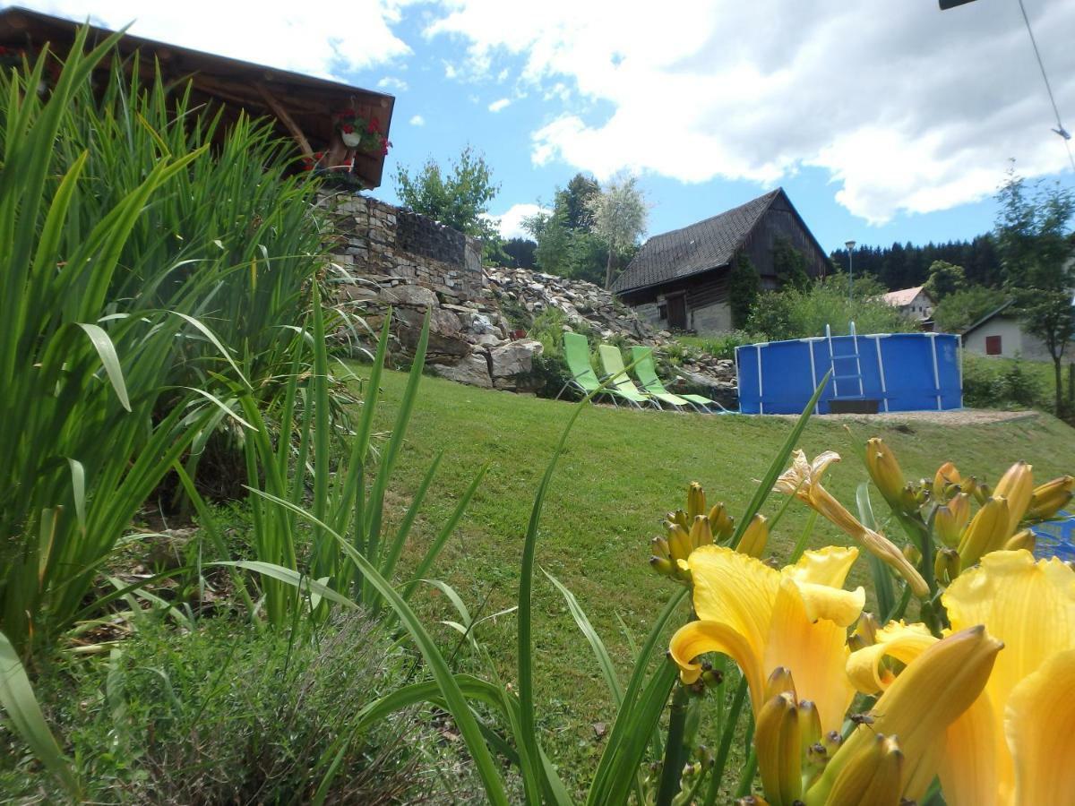 Apartments Vecernik Rokytnice Rokytnice nad Jizerou Buitenkant foto